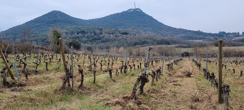 PASSA MERIDIA N° 18 - LA TOUR-SUR-ORB/FAUGERES