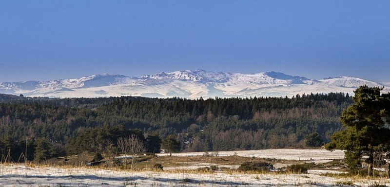 Plomb du Cantal enneigé