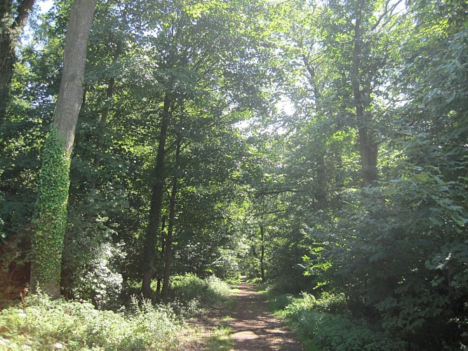 Sentier le Moulin Blanc (version longue)