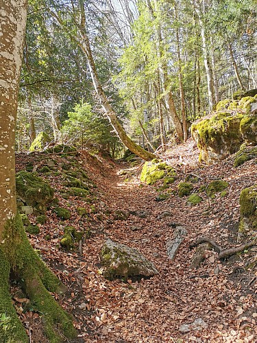 Pointe d'Orchez - Châtillon sur Cluses