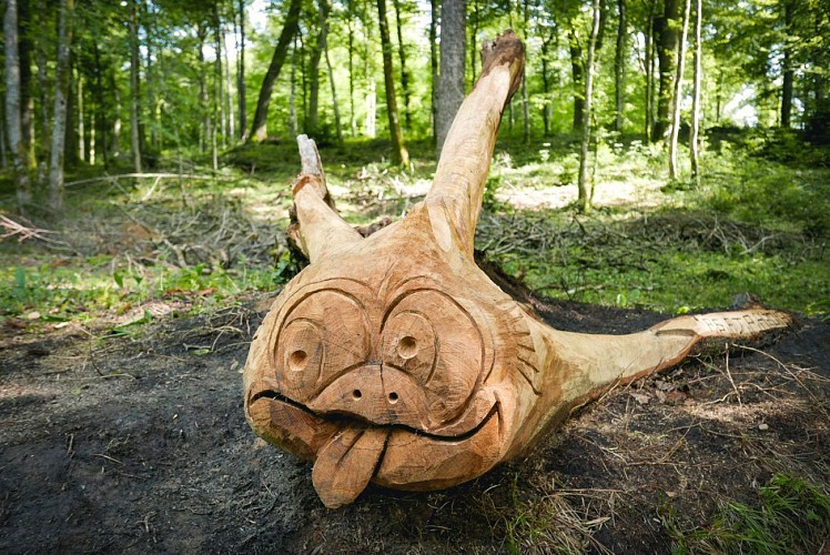 Wandeling Les Sentiers d'Art