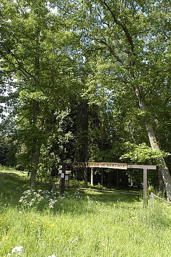 Bertrix - Arboretum (Christel François) (1)