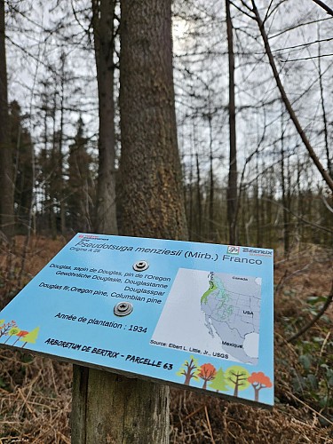 Bertrix 23 hiver prom bx06 AV (20)