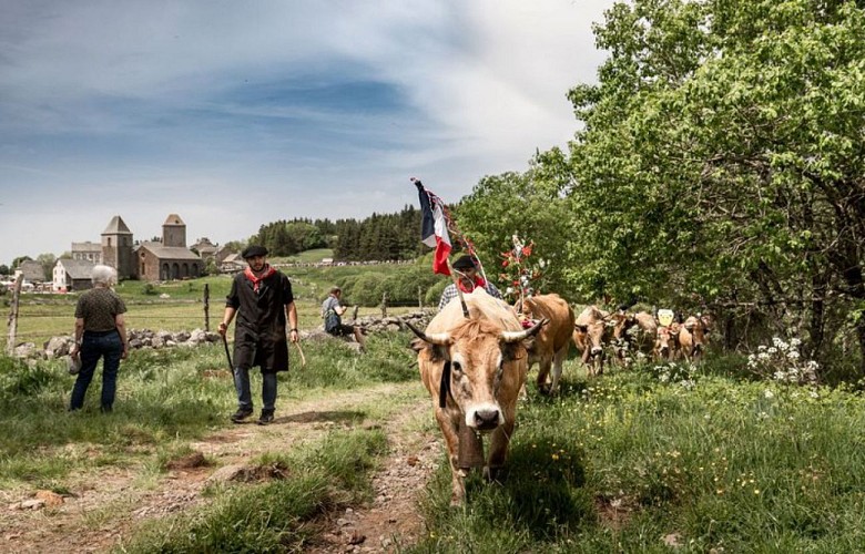 La transhumance au village d'Aubrac