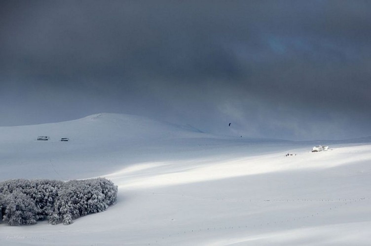 Paysage de l'aubrac en période hivernale