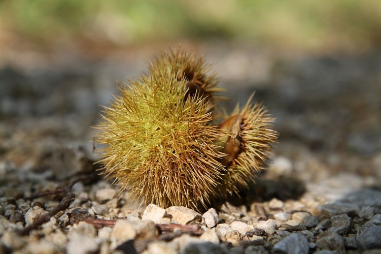 Boucle des tours de César