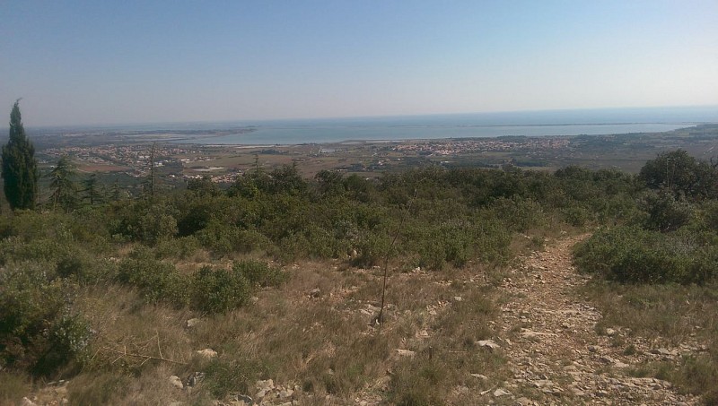 FTT - Sur les hauteurs de la Gardiole par l'abbaye St Félix de Montceau