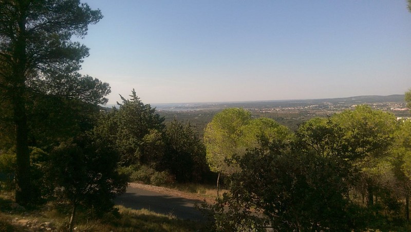 FTT - Sur les hauteurs de la Gardiole par l'abbaye St Félix de Montceau