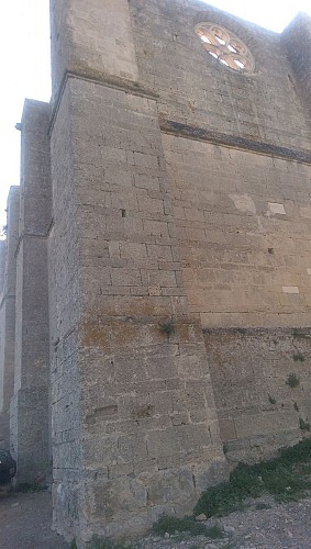 FTT - Sur les hauteurs de la Gardiole par l'abbaye St Félix de Montceau