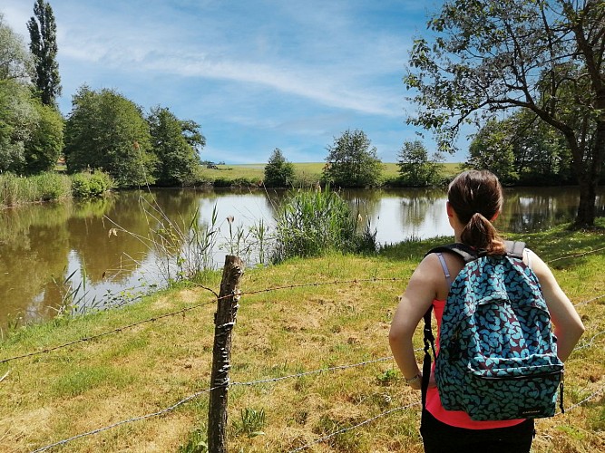 Paysage Pays de Lapalisse