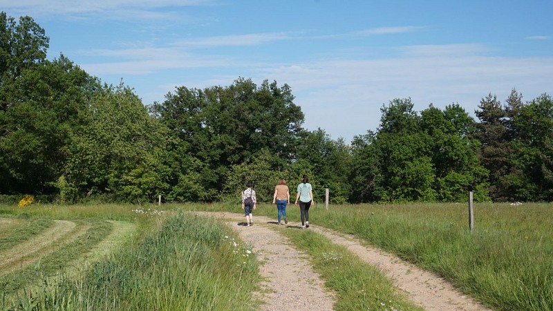 Paysage Pays de Lapalisse