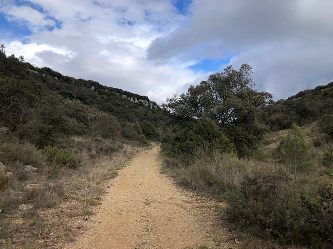Ferrières-les-Verreries - plan de Gournie - a Cascade de Gorniès.