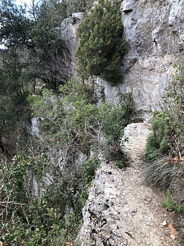 Ferrières-les-Verreries - plan de Gournie - a Cascade de Gorniès.