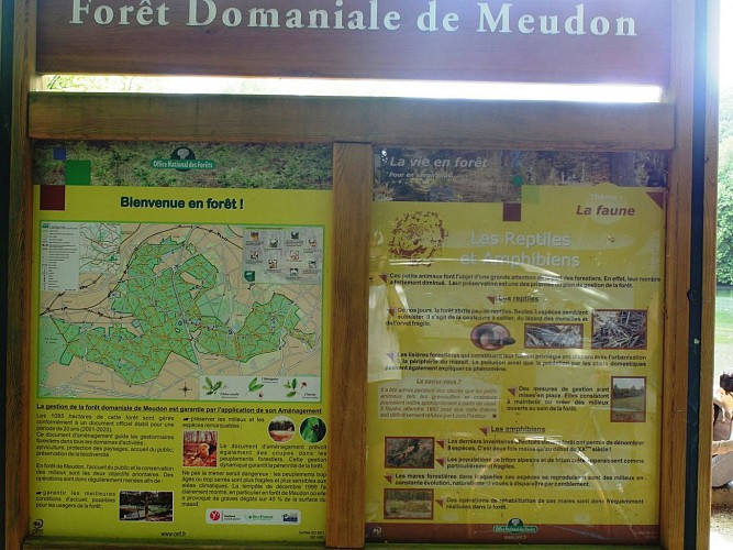 METRO VELO DODO 3 (tour de la forêt domaniale de Meudon)