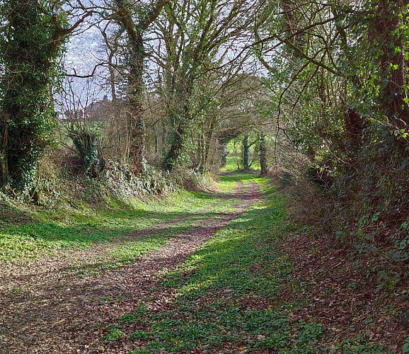 Randonnée à Locarn | Le circuit vert