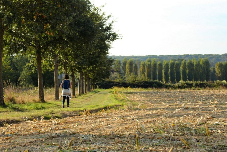 Circuit 1 On déroule sur la balade verte (c)office de tourisme Montfort Commuanuté (3)