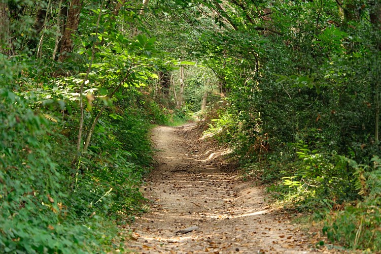 Circuit 4 Iffendic (c) Office de Tourisme Montfort Communauté (3)