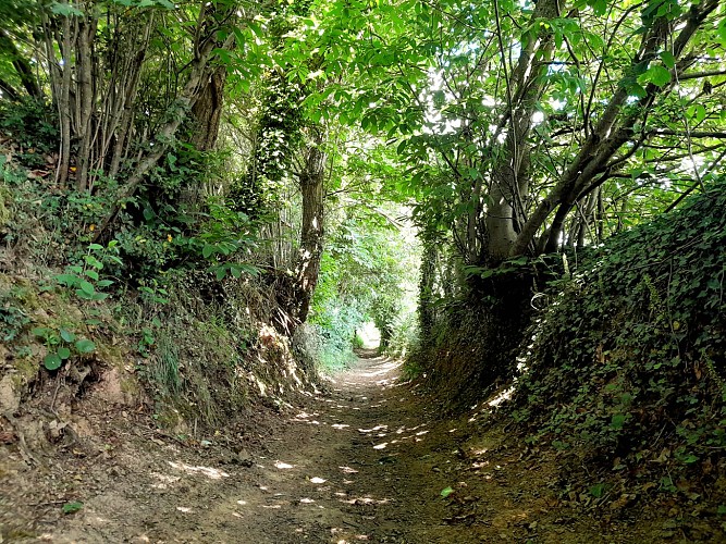 Circuit trail n° 5 Saint-Gonlay
