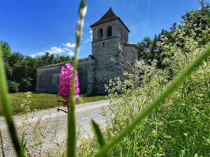 Circuit des deux églises : Montpezat-de-Quercy - Eglise de Saux- Gabachou- Pilou