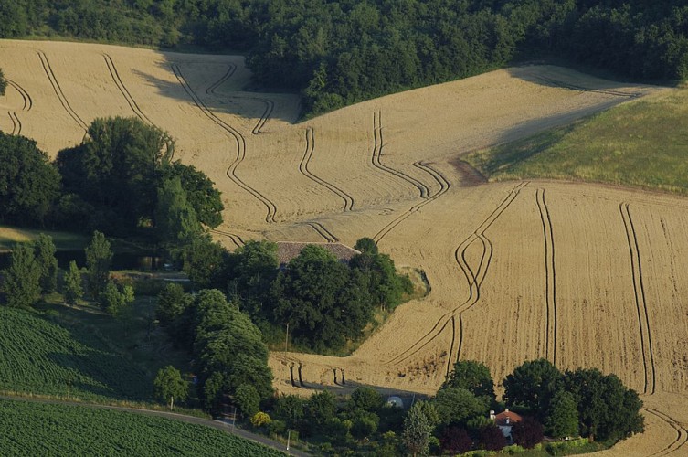 Circuit du Tarn et ses coteaux - Boucle 1 (les coteaux)