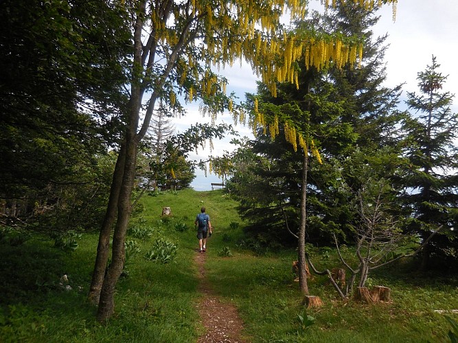 Hiking trail: La Faucille - Le belvédère du Turet