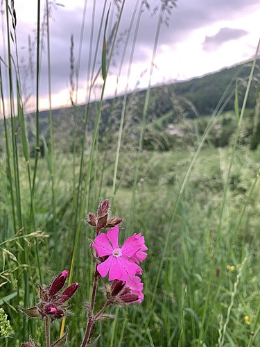Wandern: Aussichtspunkt Lélex – Truchet_Lélex