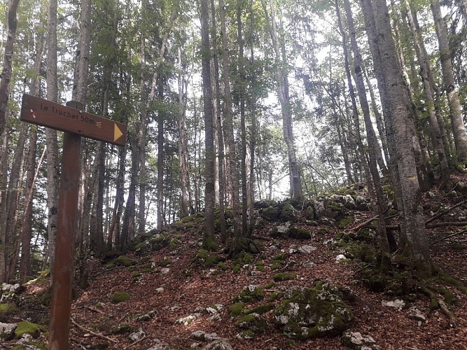 Lélex hiking trail - the Truchet lookout