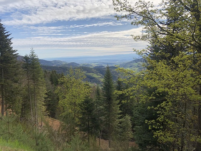 Mountain Bike Trail : The Rouvey from Saint Pierre sur Doux to Lalouvesc.