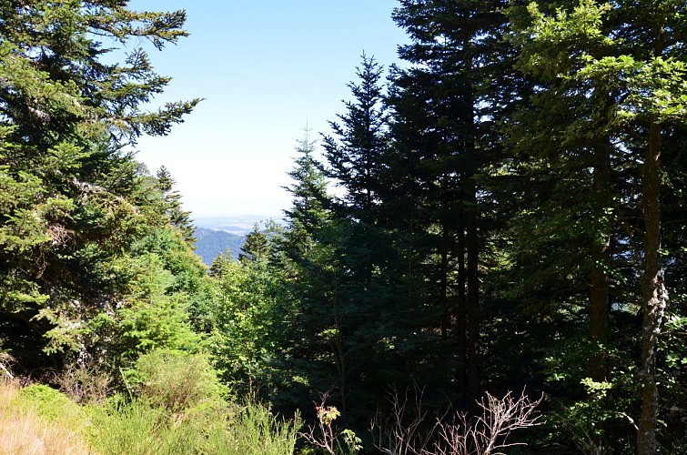 Mountain Bike Trail : The Rouvey from Saint Pierre sur Doux to Lalouvesc.