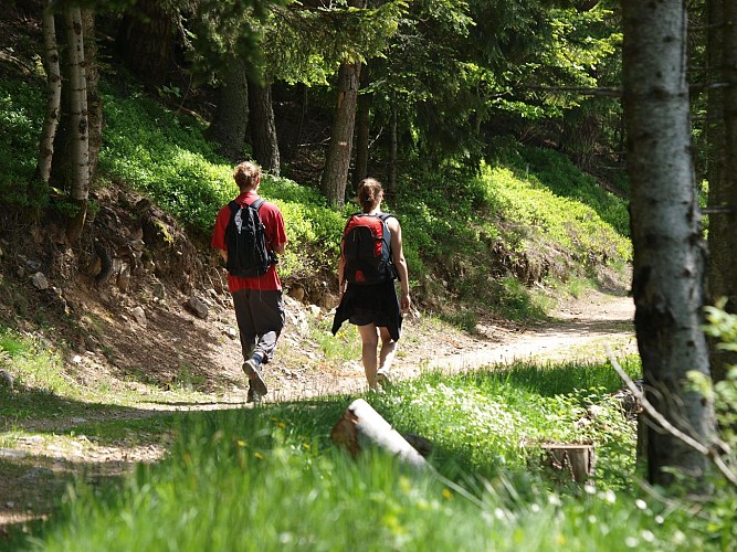 Hiking : la roche des vents