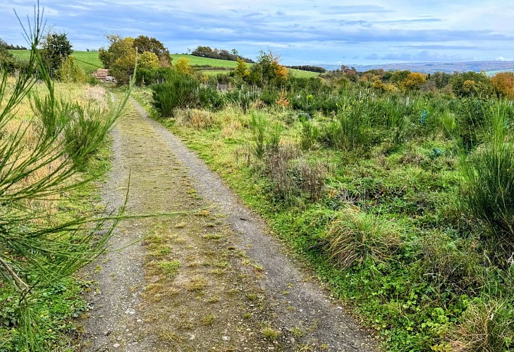 Promenade_croix_javalle@MTFSH_TEXTO_Pascal_Willems_(18)