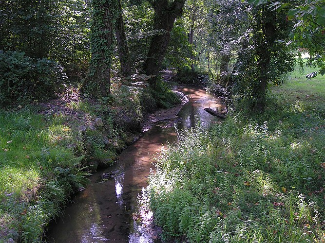 Circuit pedestre Landes de la Bonne aux Lievres N20 Montendre