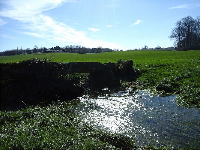 Circuit pedestre Les Maines - N 22 - Ozillac - Haute-Saintonge