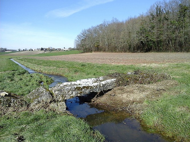 Circuit pedestre Les Maines - N 22 - Ozillac - Haute-Saintonge 2