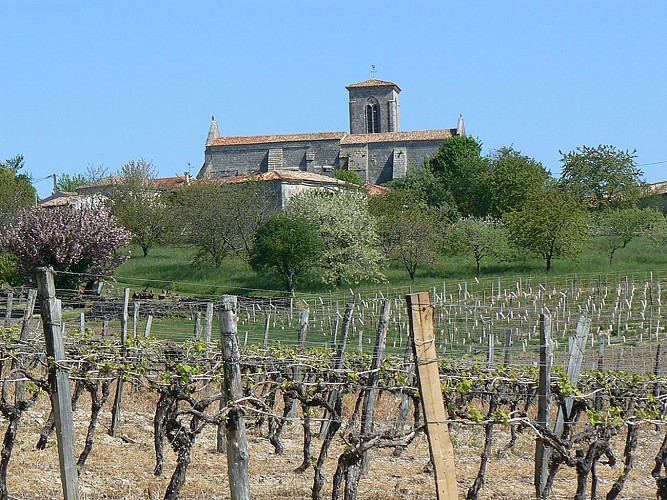 Eglise Ste-Lheurine Vignoble du Cognac Haute-Saintonge panorama moulin Arthus