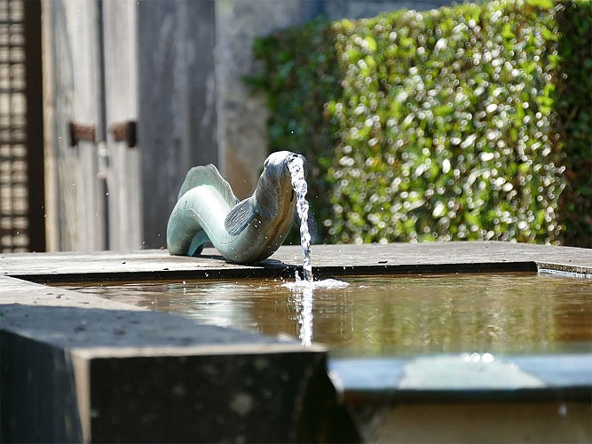 Anguille de Pons legende Hopital des Pelerins jardin medicinal pelerins UNESCO