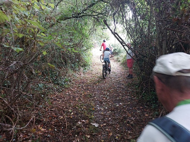 Circuit VTT N25 du Trefle Vignoble du Cognac voie romaine eglises romanes Nobla 28