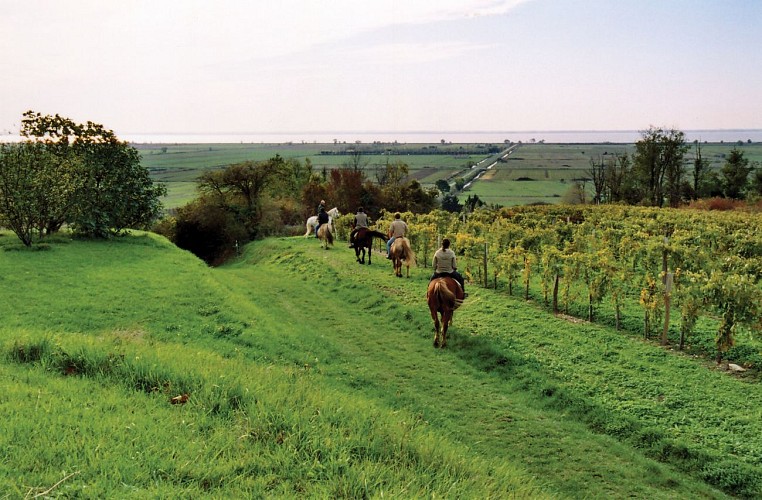 Route des Cardinaux en Pays de Haute-Saintonge randonnee equestre d Artagnan 5