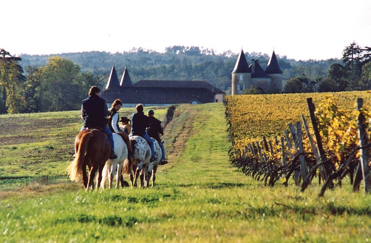 Route des Cardinaux en Pays de Haute-Saintonge randonnee equestre d Artagnan 10
