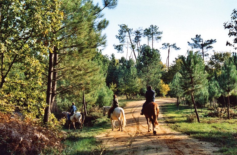 troncon Route Cardinaux Pays de Haute-Saintonge randonnee equestre d Artagnan