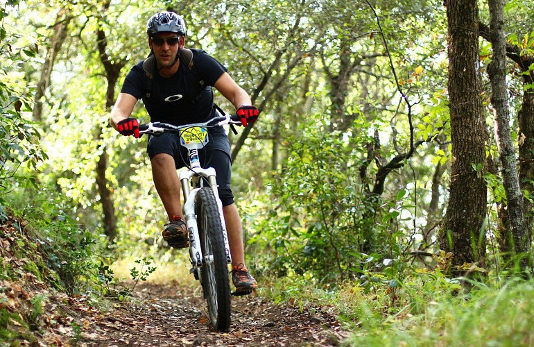 Circuit VTT -la Forêt du Rialsesse