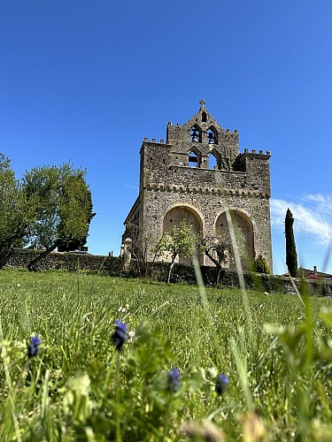 SEPX : LE SENTIER DES ORCHIDEES