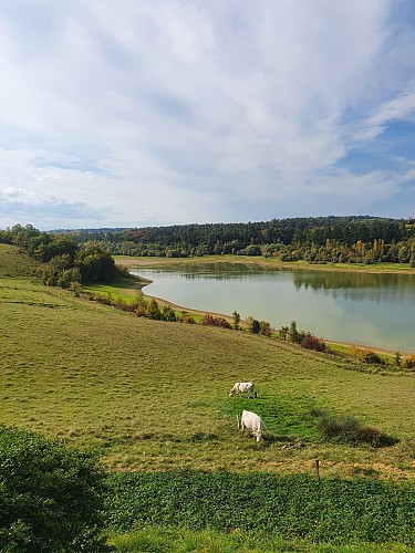 Tour de la forêt de Savis et du lac de Saint-Laurent
