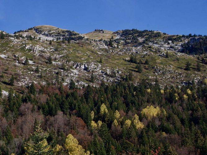 Vue sur le Pic Saint Michel