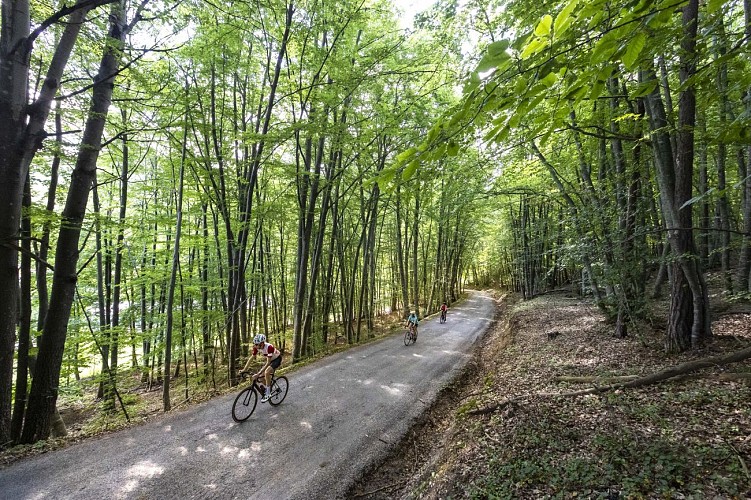 Montée du Col de Fontbelle par Thoard_Thoard
