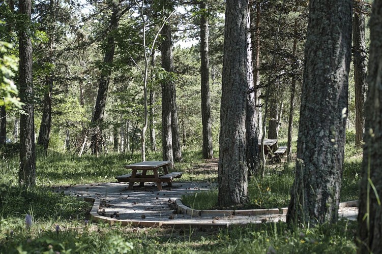 Montée du Col de Fontbelle par Thoard_Thoard