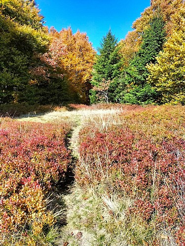 Schlucht - les trois fours hike