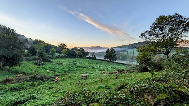 Berzé-le-Châtel automne @. Sève _ Cluny Sud Bourgogne (6)