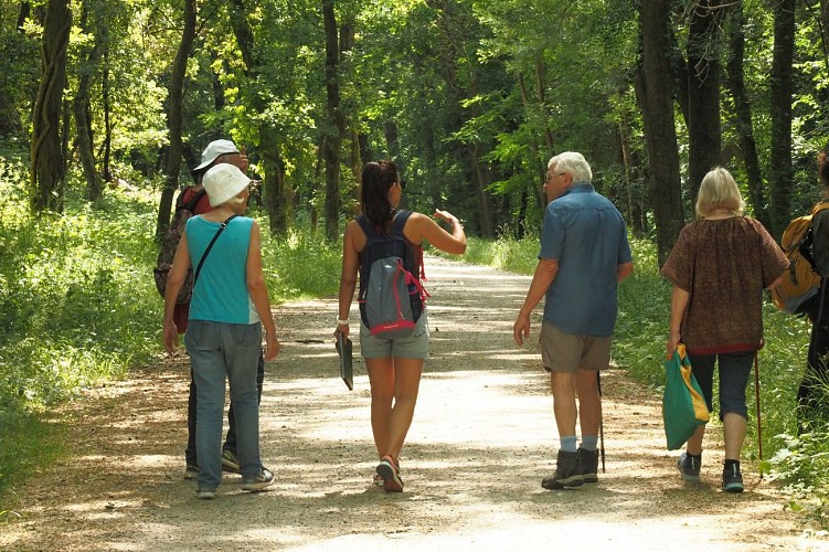 Sentier de la Mole à Cogolin par la Chapelle Sainte-Magdeleine