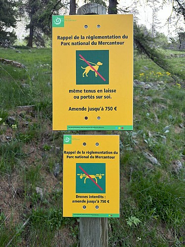 Sign setting out the rules for Mercantour National Park, featuring icons of a dog and a drone, both of which are prohibited and subject to a fine